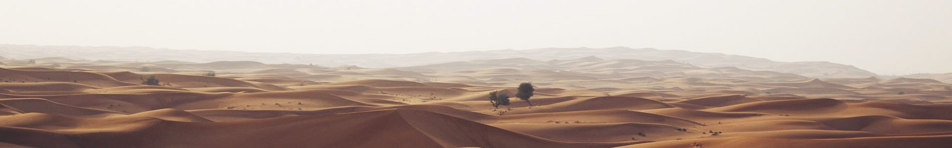 أƼ޹˾